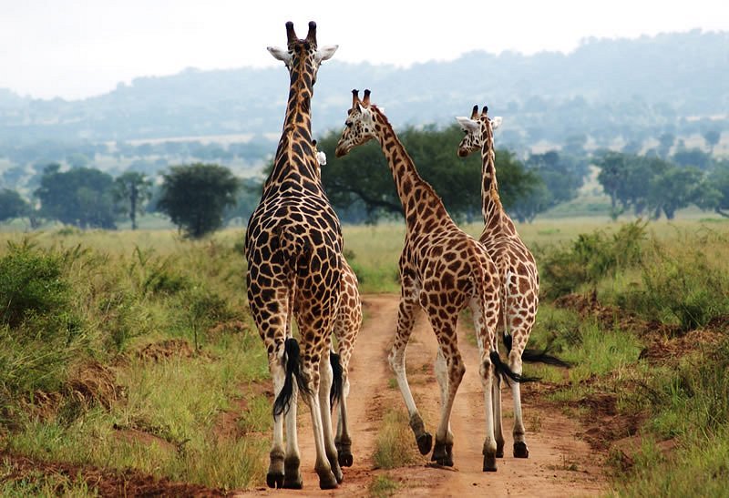 Kidepo Valley